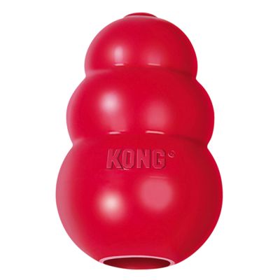 KONG 콩 강아지 토이