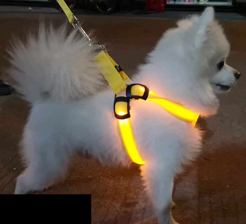 강아지 LED 목줄 충전식