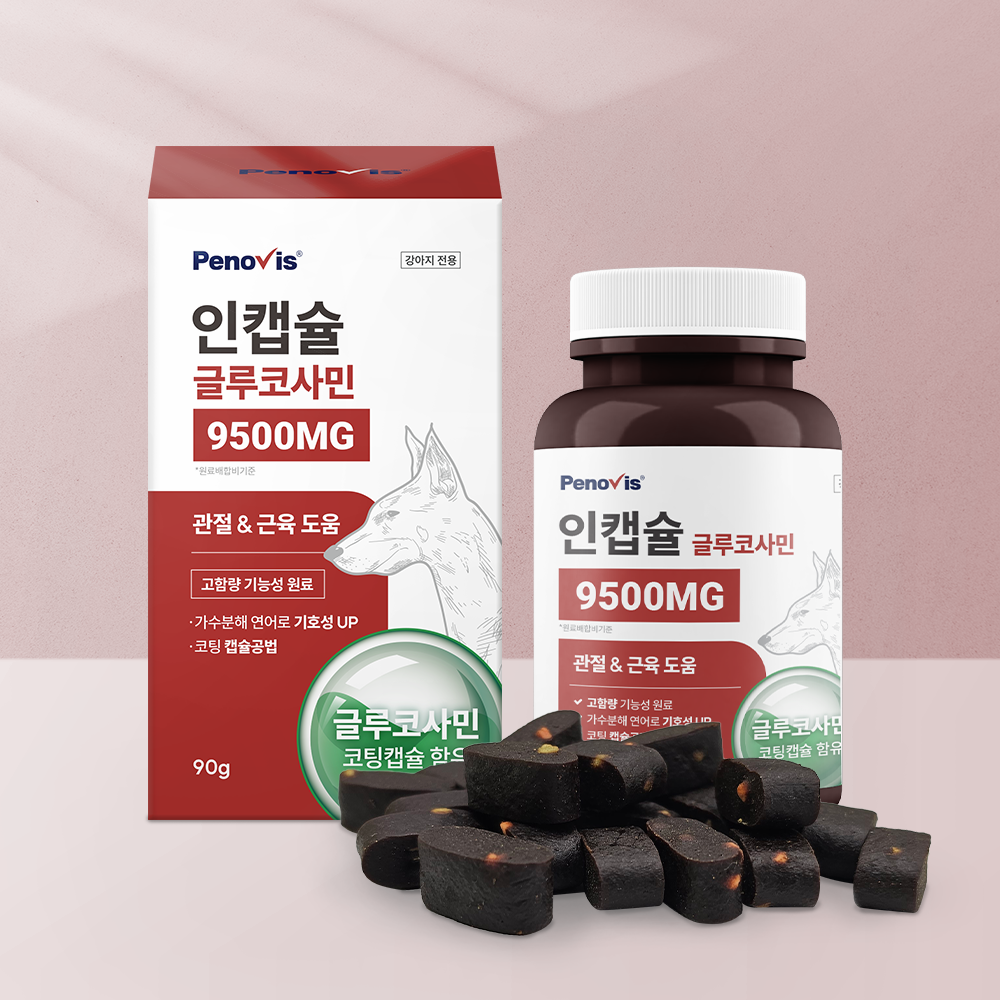 강아지 관절 영양제 글루코사민